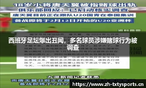 天行体育官网
