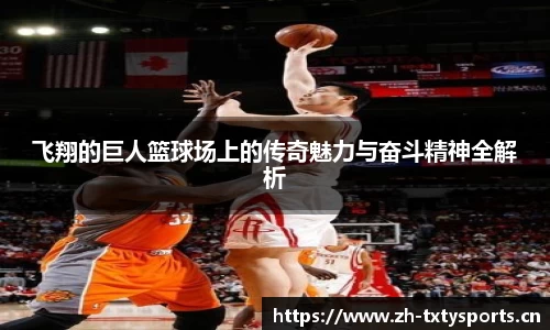 飞翔的巨人篮球场上的传奇魅力与奋斗精神全解析