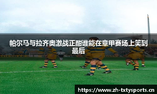 帕尔马与拉齐奥激战正酣谁能在意甲赛场上笑到最后