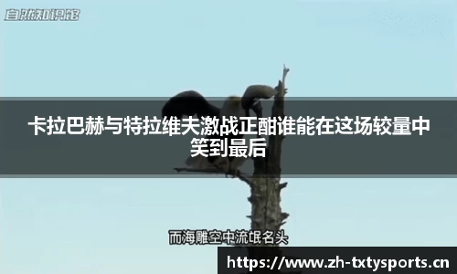 天行体育