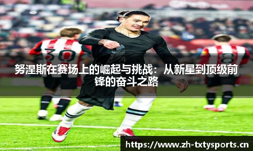 天行体育平台